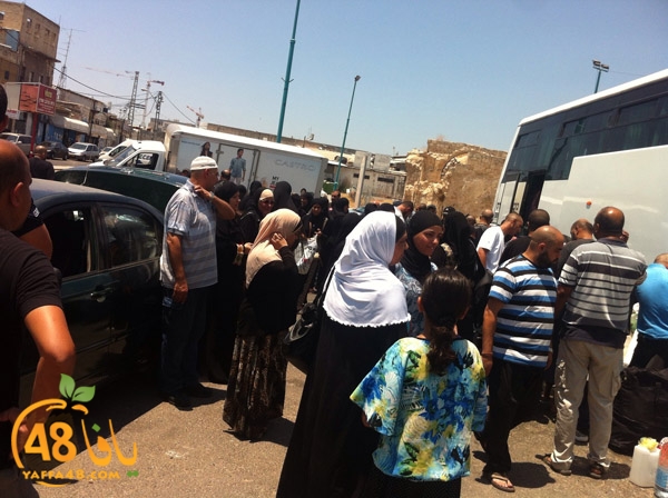 mo3tmreen ludjd (6).jpg